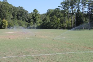 irrigation_hoover (22).JPG